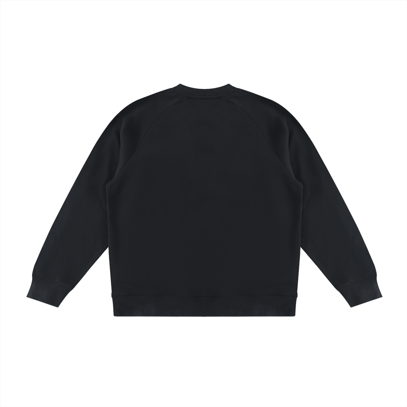 H&H Wings Unisex Color Block Crewneck